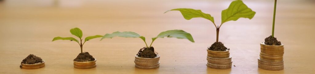 Bankable Company Growth