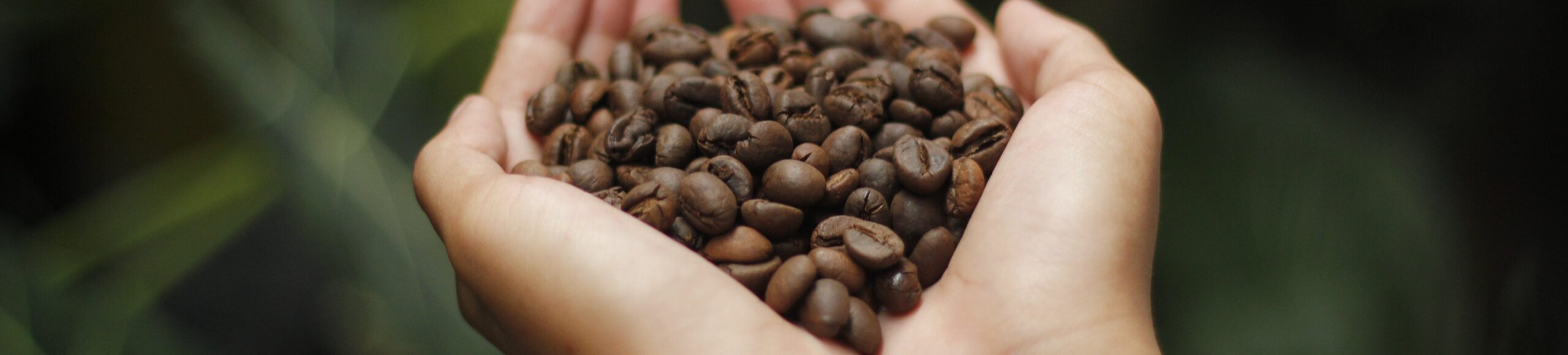 Coffee Trade Indonesia