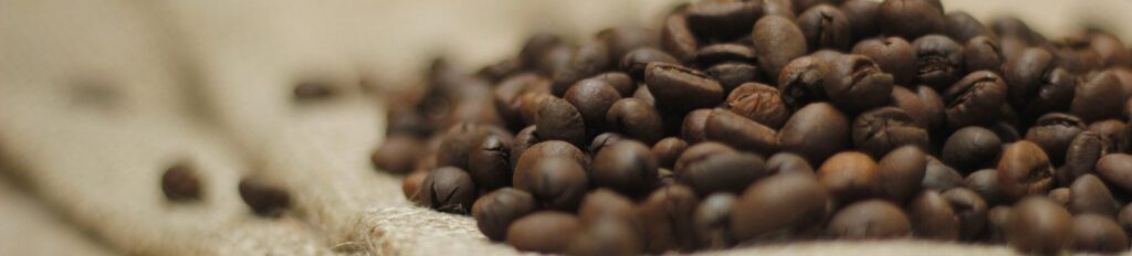 Entering Coffee Plantation Indonesia