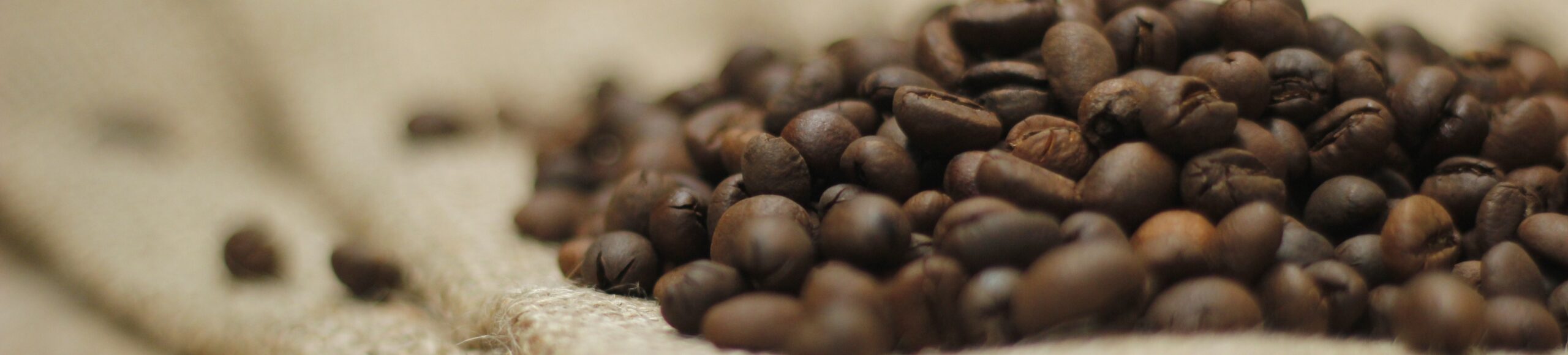 Entering Coffee Plantation Indonesia