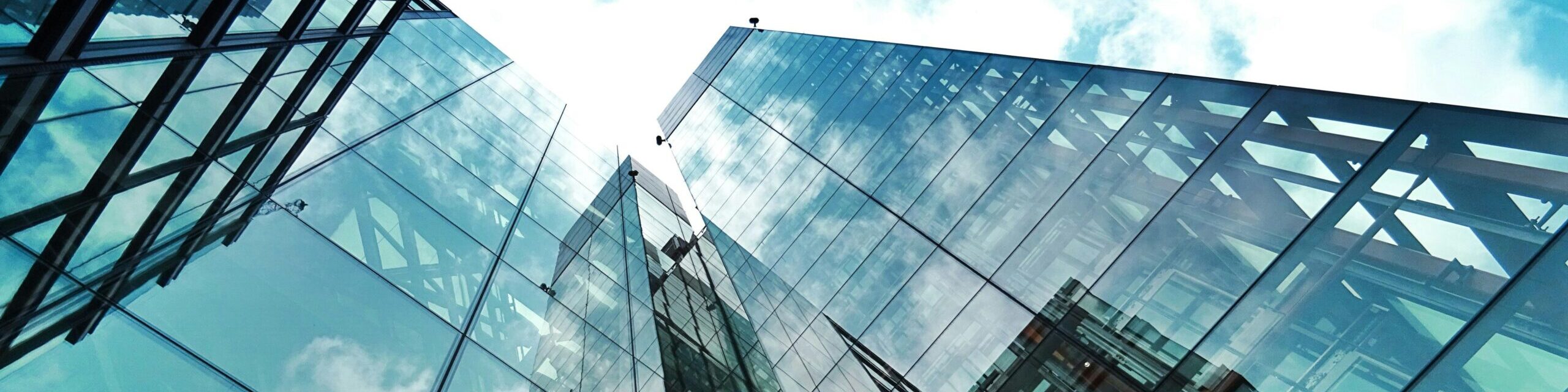 company liquidation 公司解散与清算服务