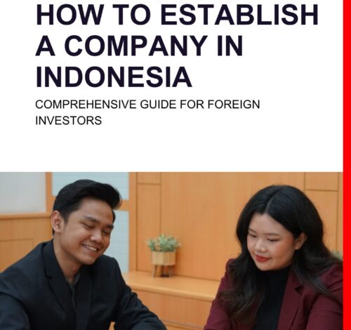 E-Book - How To Establish A Company (1)