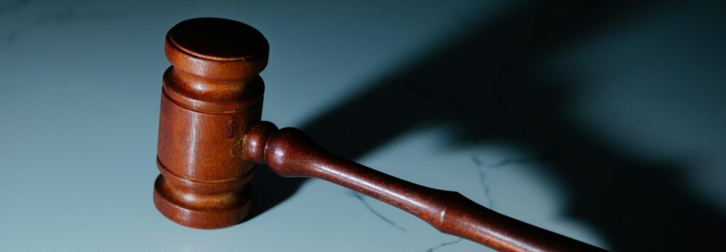 Employment Essentials for Foreign Investors 3 litigation