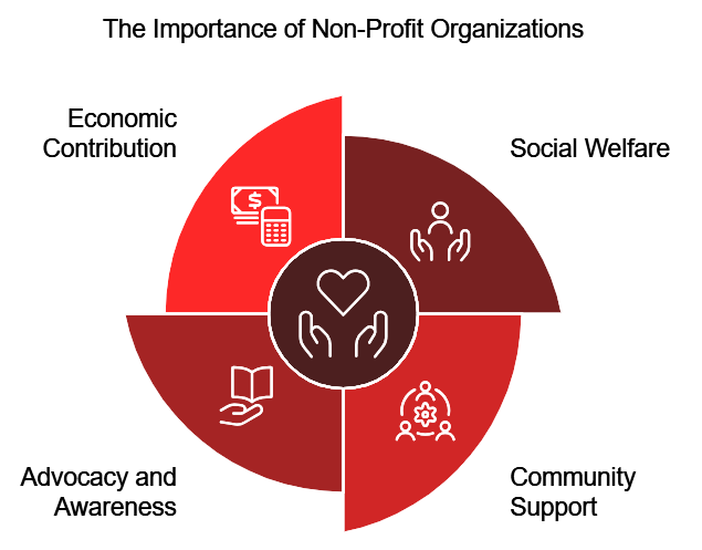 Non-Profit Organization Establishment