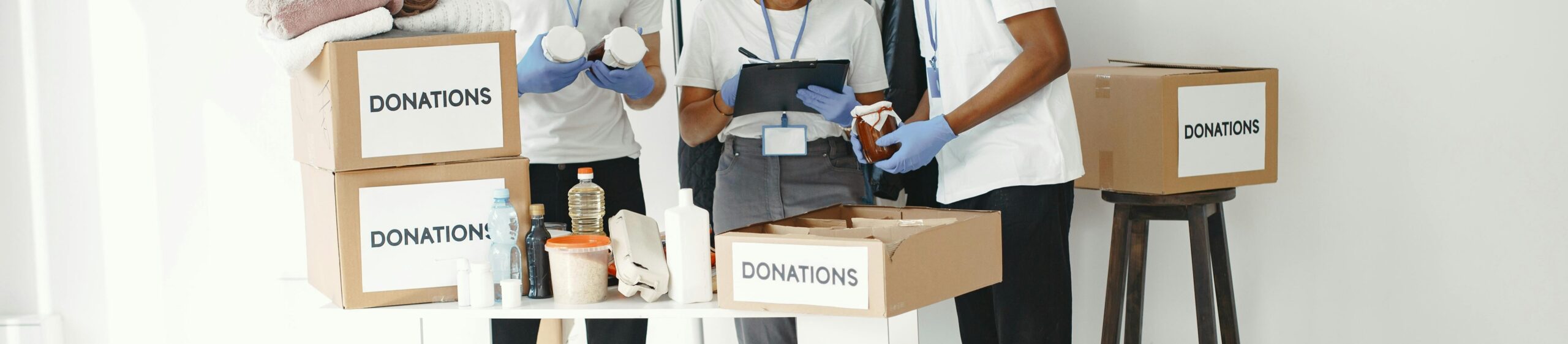 Non-Profit Organization Establishment