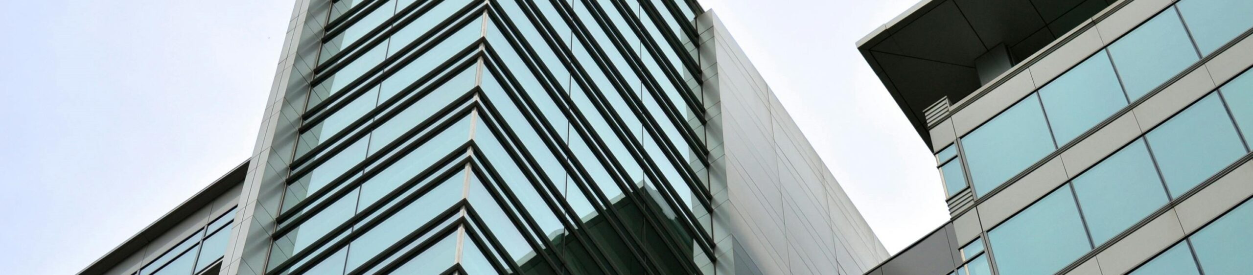 Company Establishment 公司成立